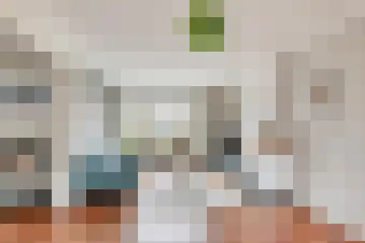 van Schaikstraat 4 Duiven thumbnail 14