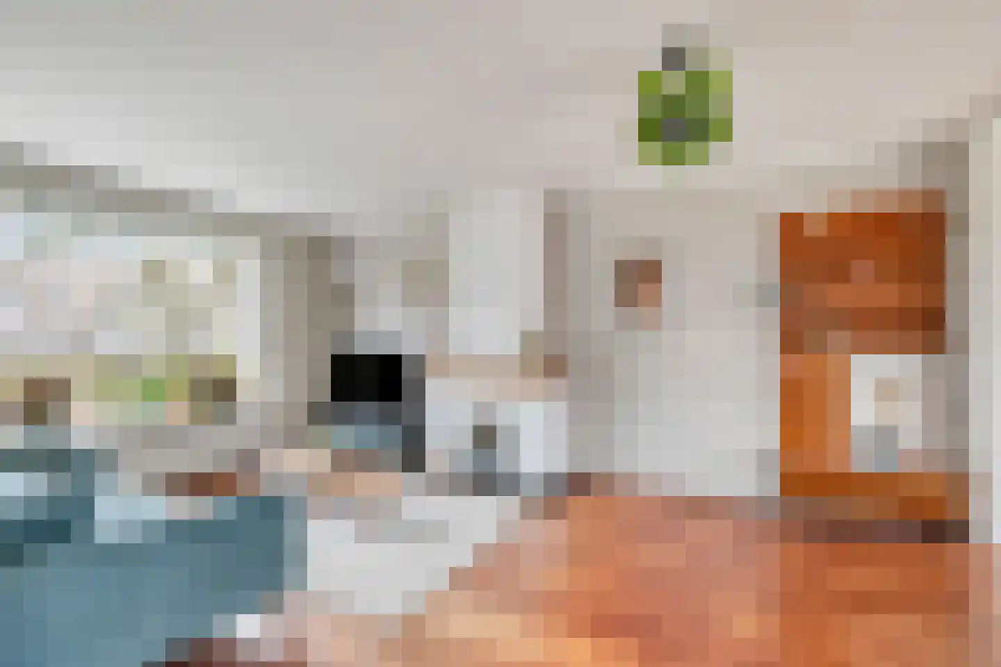 van Schaikstraat 4 Duiven thumbnail 15