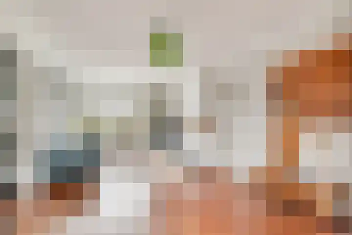 van Schaikstraat 4 Duiven thumbnail 16