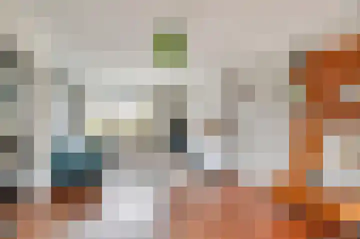van Schaikstraat 4 Duiven thumbnail 17