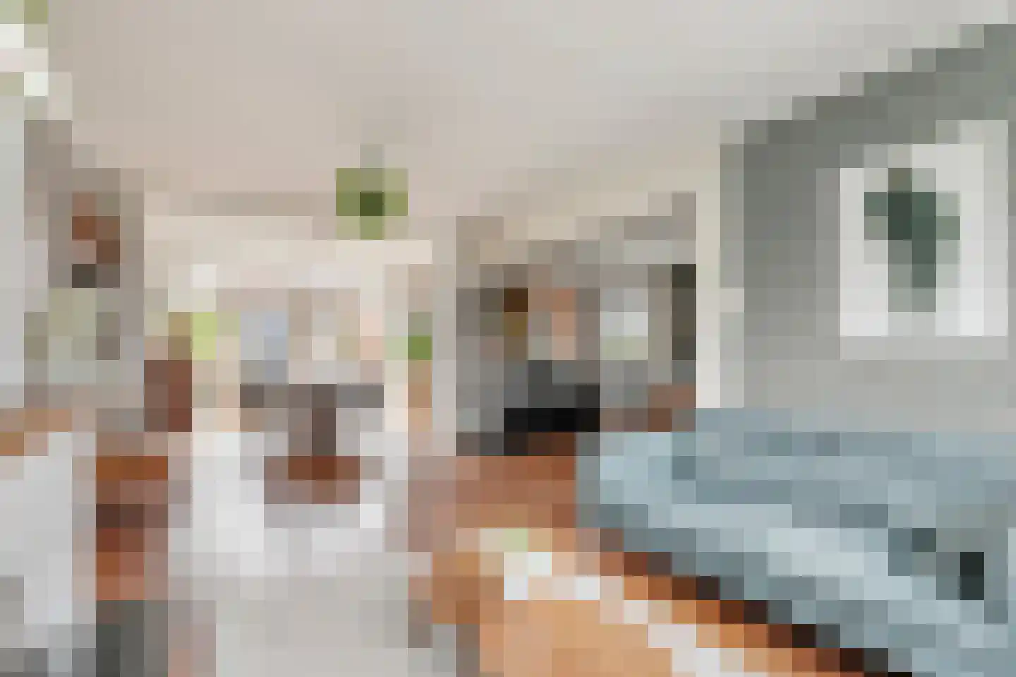 van Schaikstraat 4 Duiven thumbnail 20