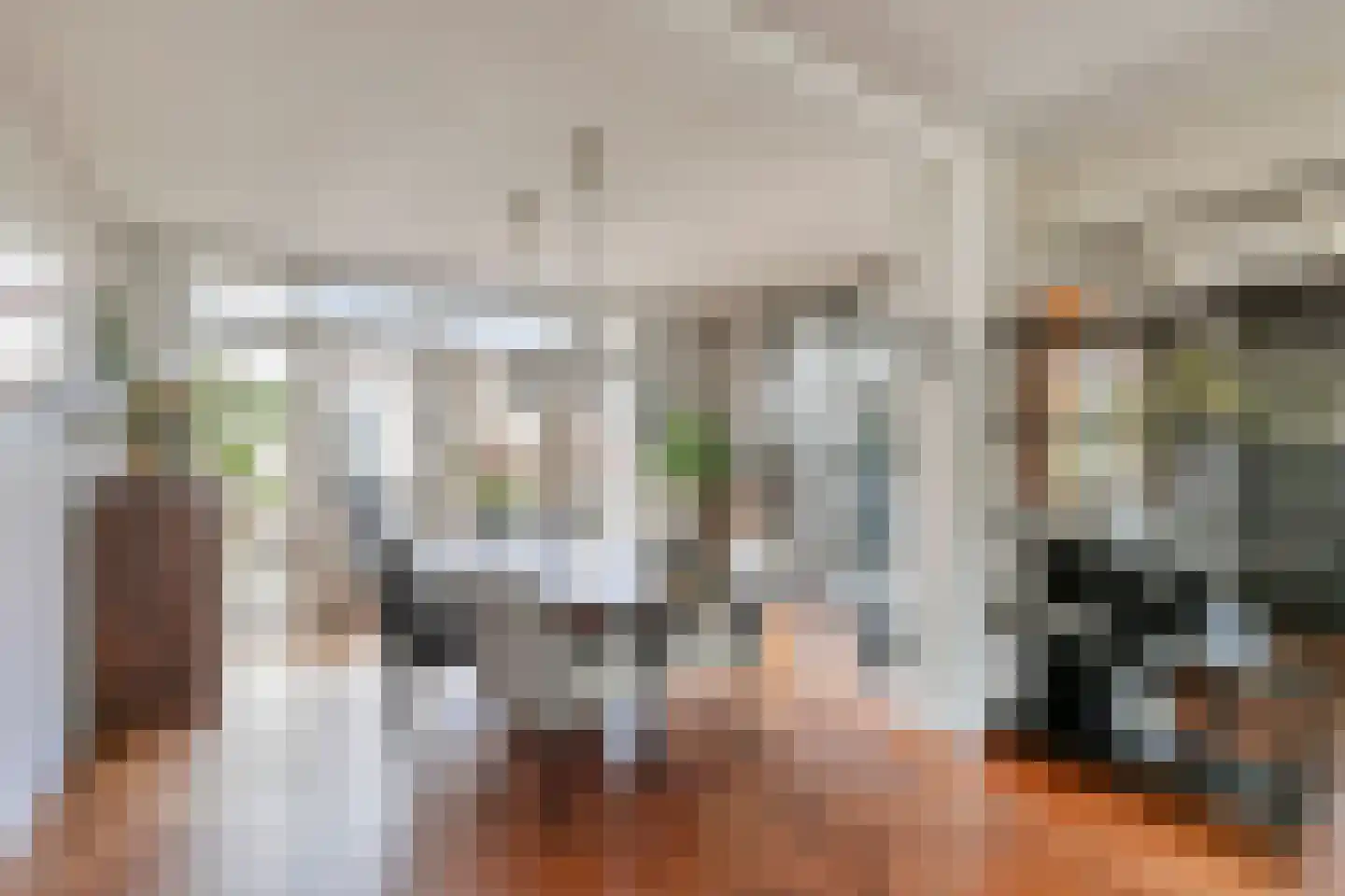 van Schaikstraat 4 Duiven thumbnail 21