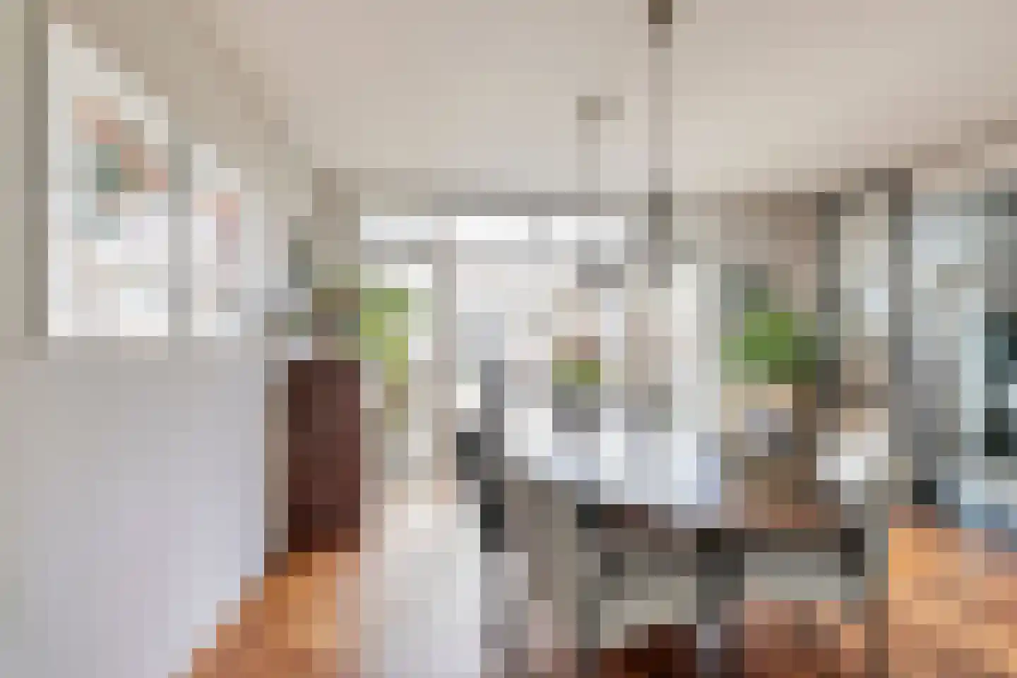 van Schaikstraat 4 Duiven thumbnail 22