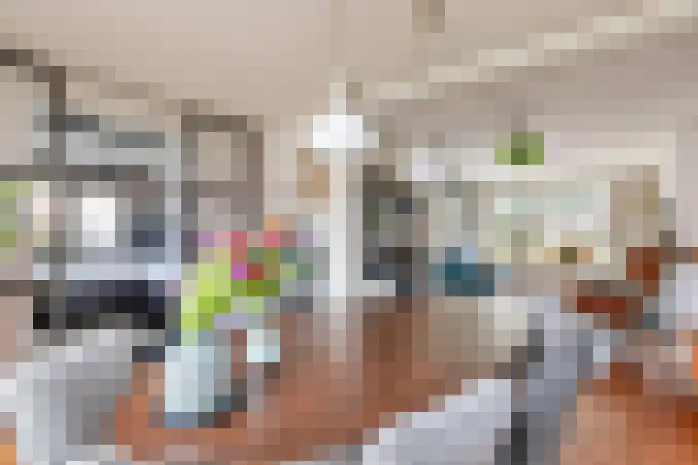 van Schaikstraat 4 Duiven thumbnail 23