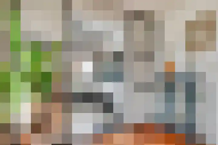 van Schaikstraat 4 Duiven thumbnail 24