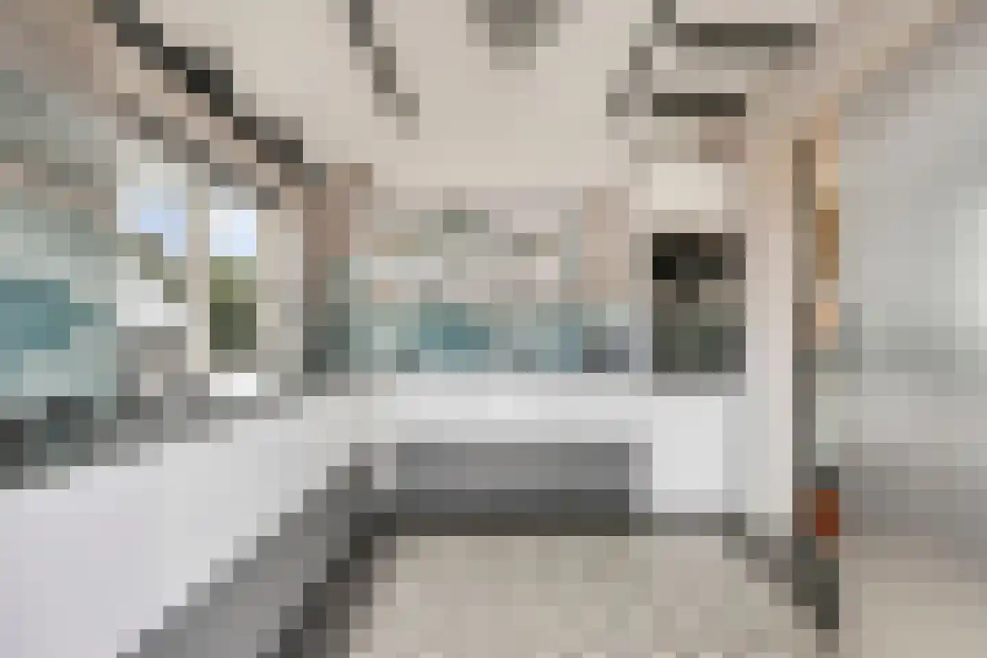 van Schaikstraat 4 Duiven thumbnail 25