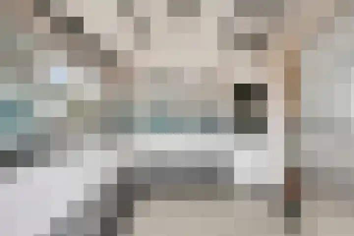 van Schaikstraat 4 Duiven thumbnail 25