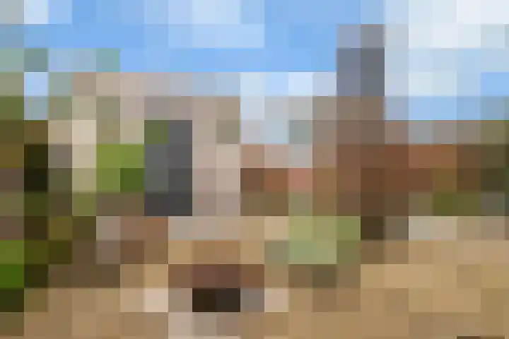 van Schaikstraat 4 Duiven thumbnail 27