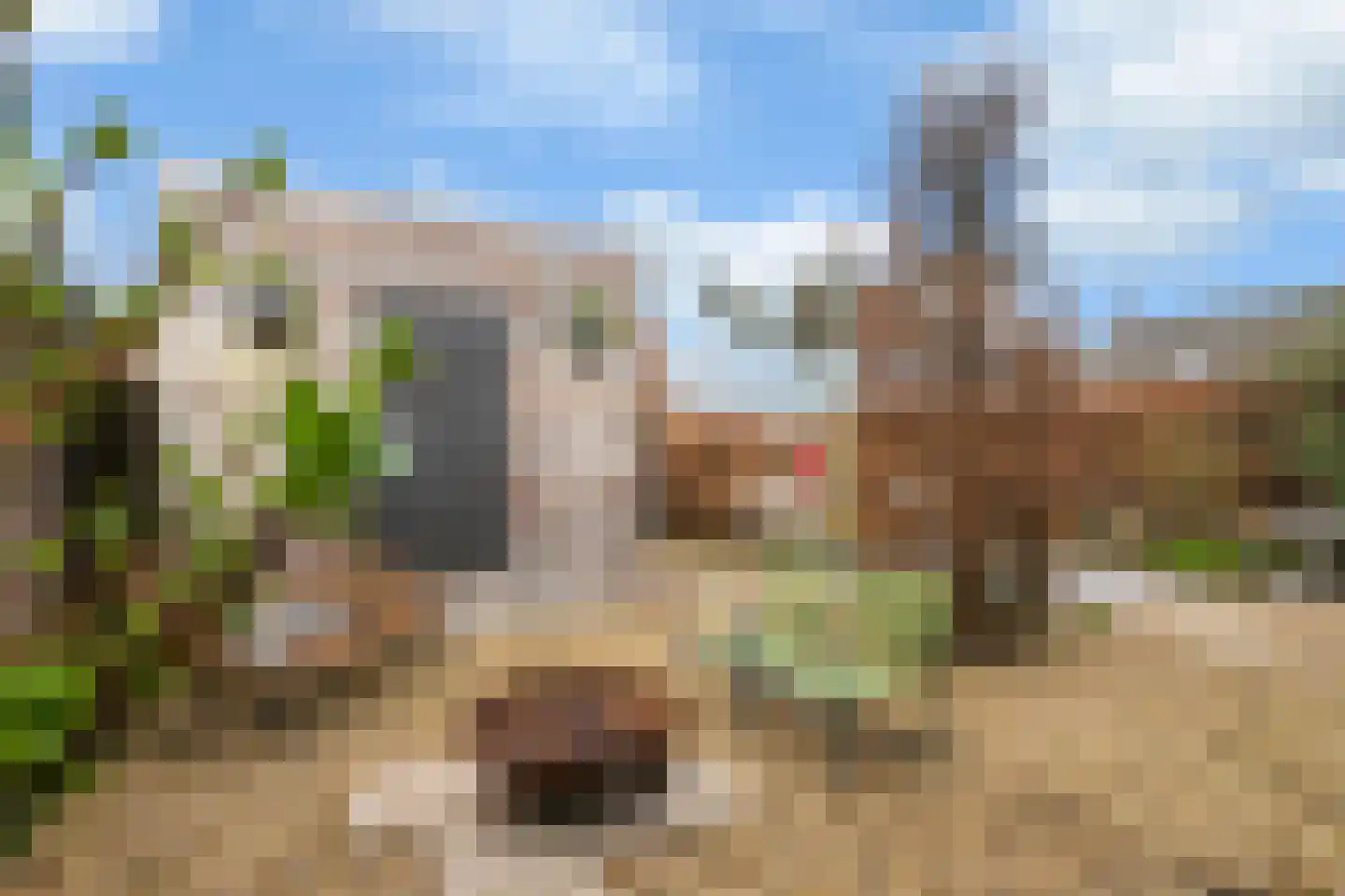van Schaikstraat 4 Duiven thumbnail 27