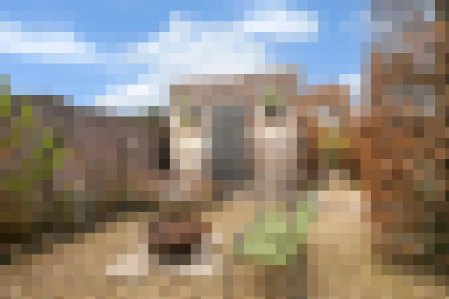 van Schaikstraat 4 Duiven thumbnail 28