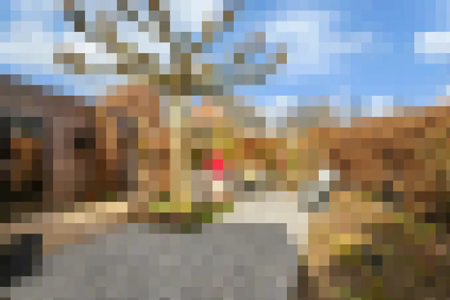 van Schaikstraat 4 Duiven thumbnail 29