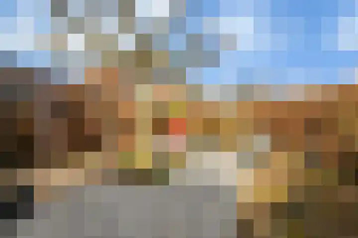 van Schaikstraat 4 Duiven thumbnail 29
