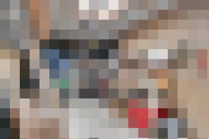 van Schaikstraat 4 Duiven thumbnail 32