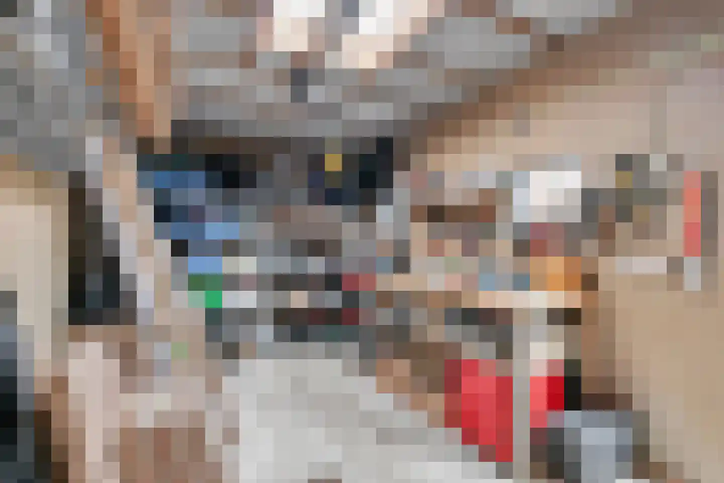 van Schaikstraat 4 Duiven thumbnail 32