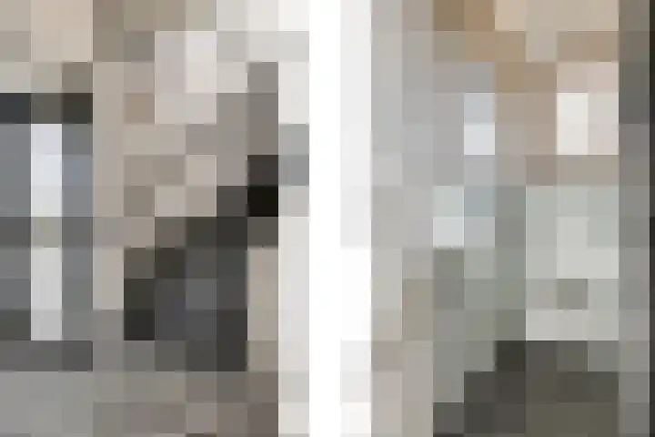 van Schaikstraat 4 Duiven thumbnail 33