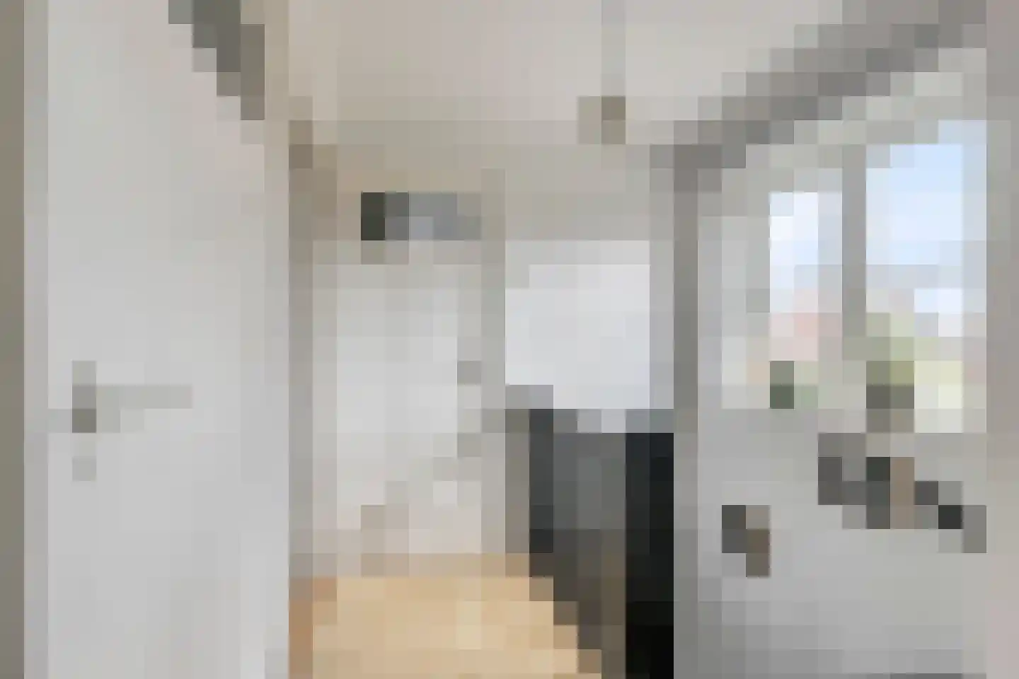 van Schaikstraat 4 Duiven thumbnail 35