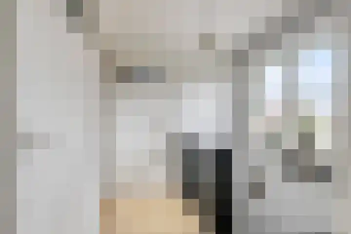 van Schaikstraat 4 Duiven thumbnail 35