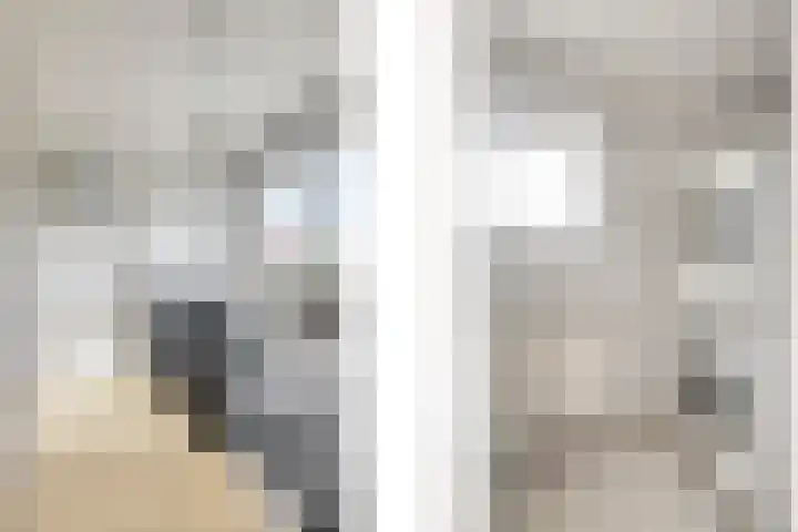 van Schaikstraat 4 Duiven thumbnail 36