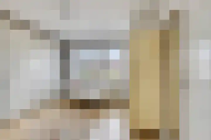 van Schaikstraat 4 Duiven thumbnail 37