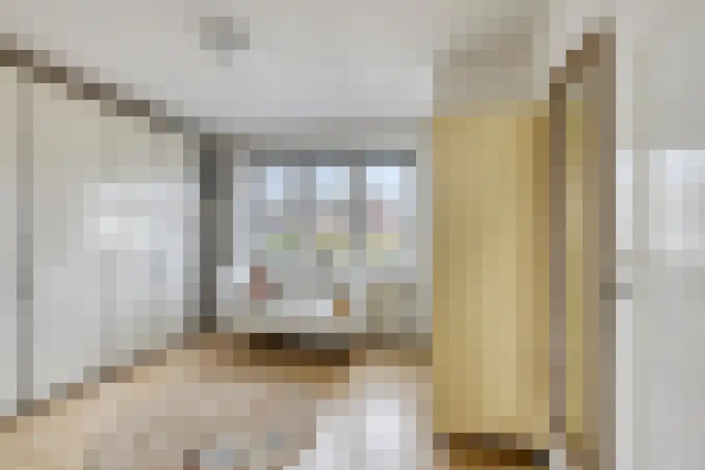 van Schaikstraat 4 Duiven thumbnail 37