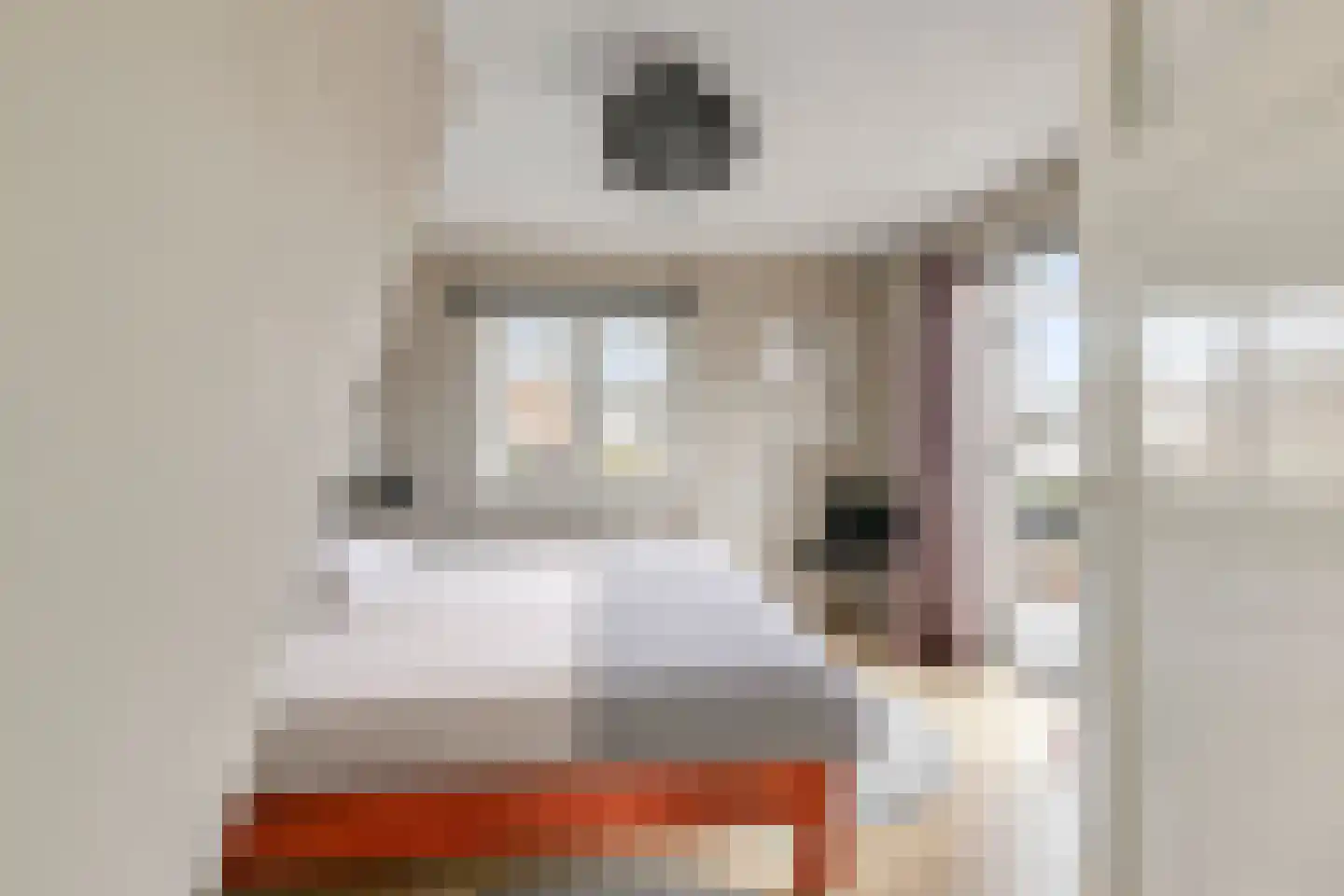van Schaikstraat 4 Duiven thumbnail 39