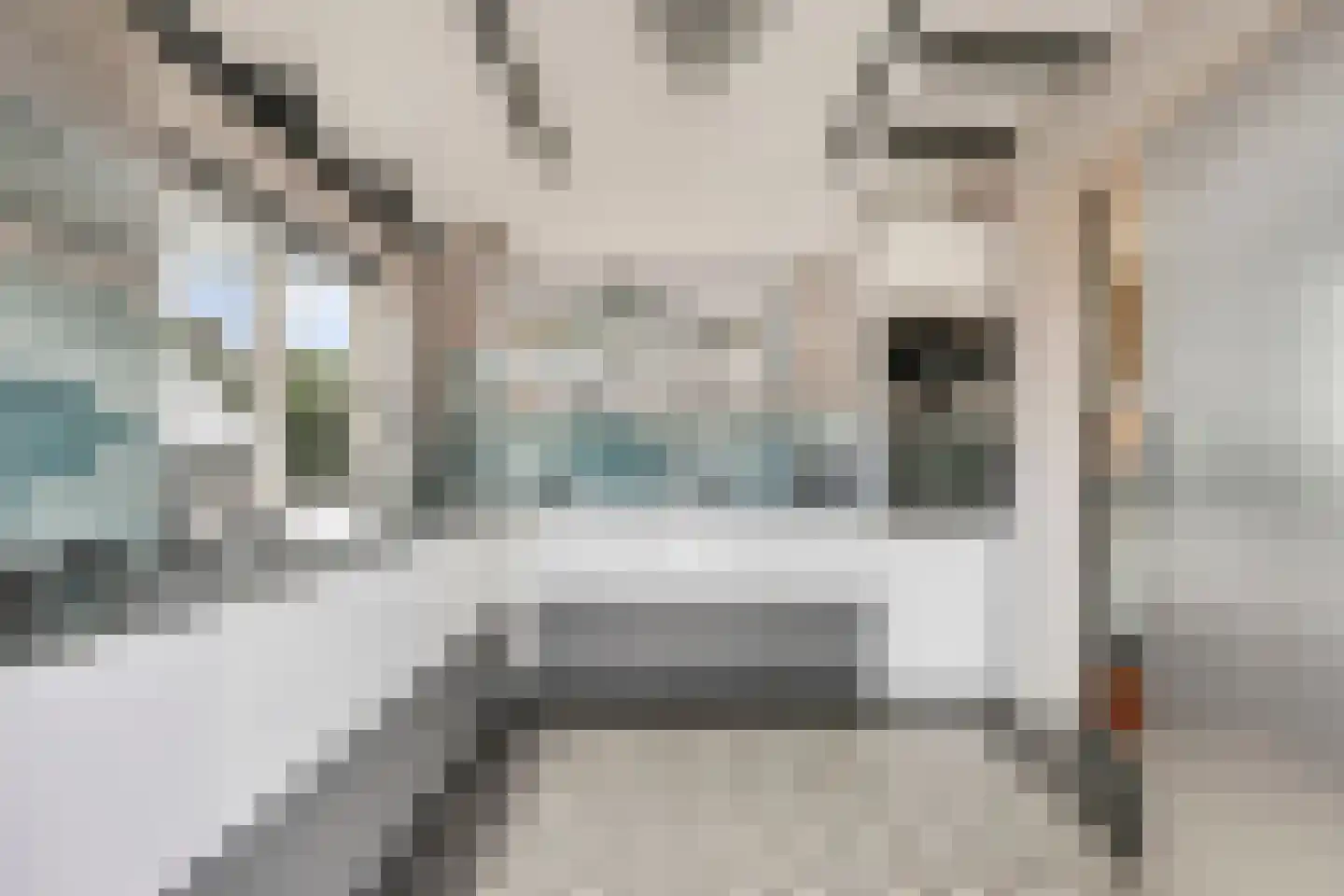 van Schaikstraat 4 Duiven thumbnail 4