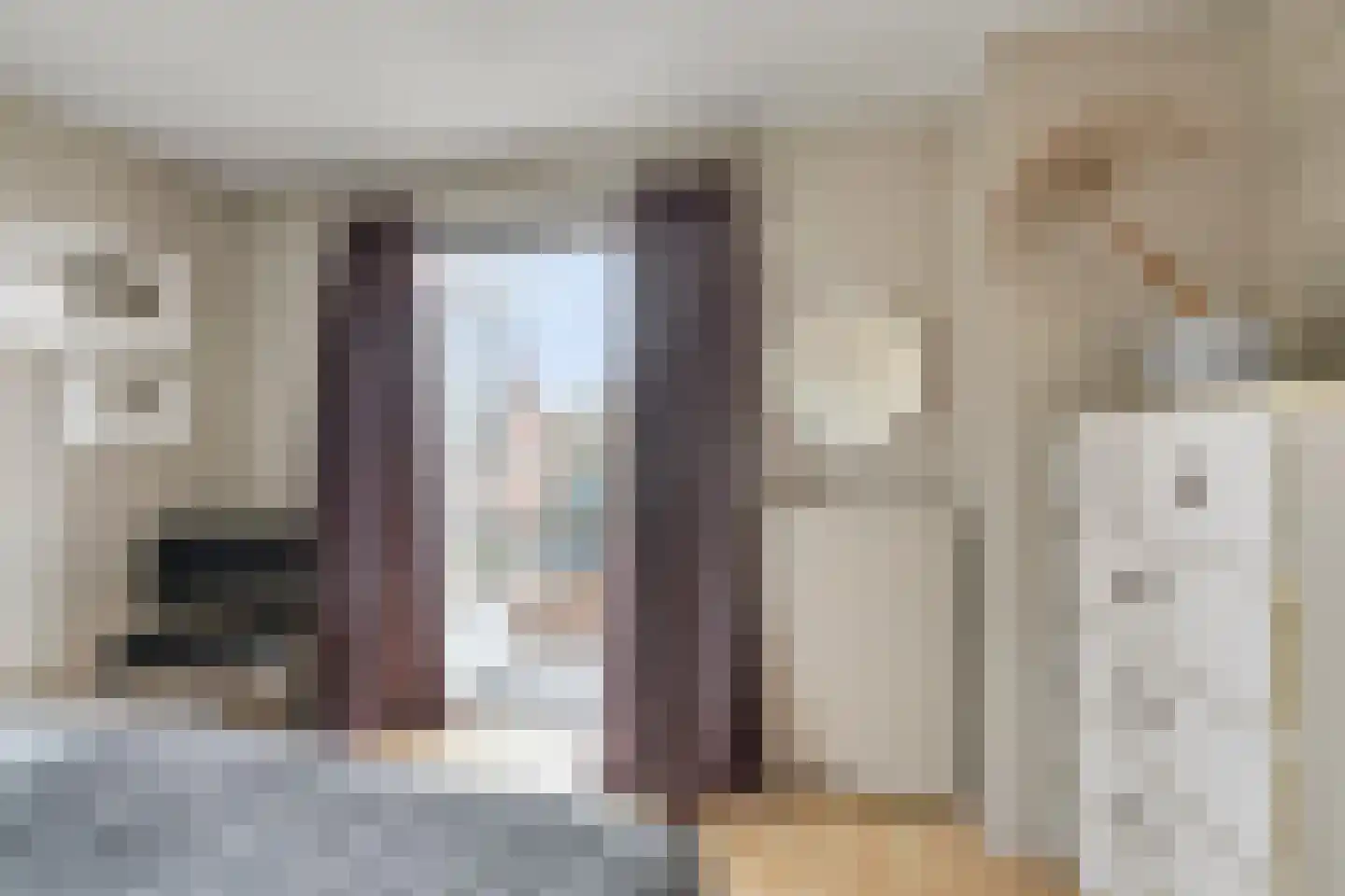 van Schaikstraat 4 Duiven thumbnail 40
