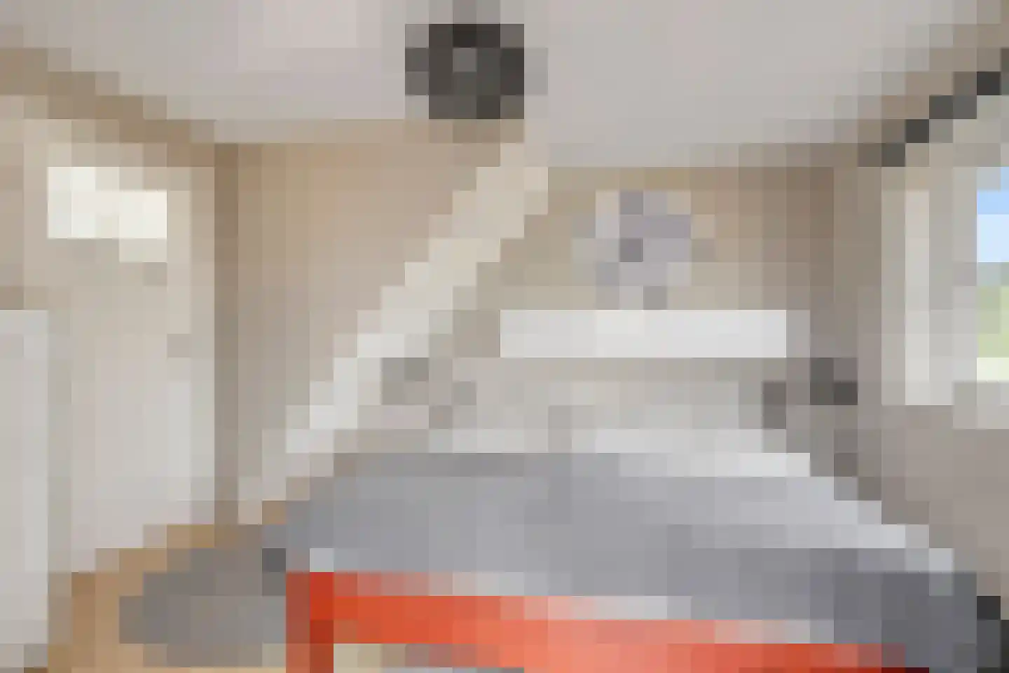 van Schaikstraat 4 Duiven thumbnail 42