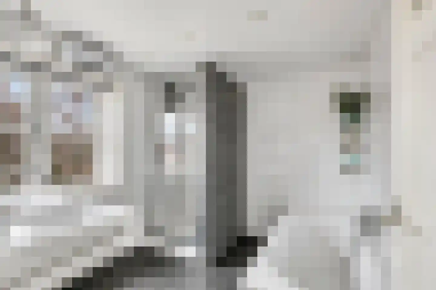 van Schaikstraat 4 Duiven thumbnail 44