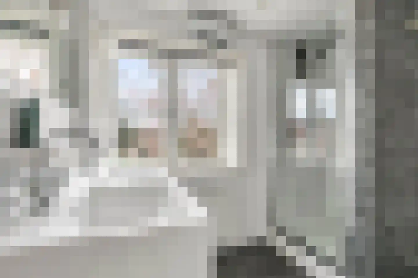 van Schaikstraat 4 Duiven thumbnail 45