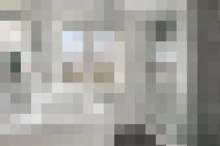 van Schaikstraat 4 Duiven thumbnail 45