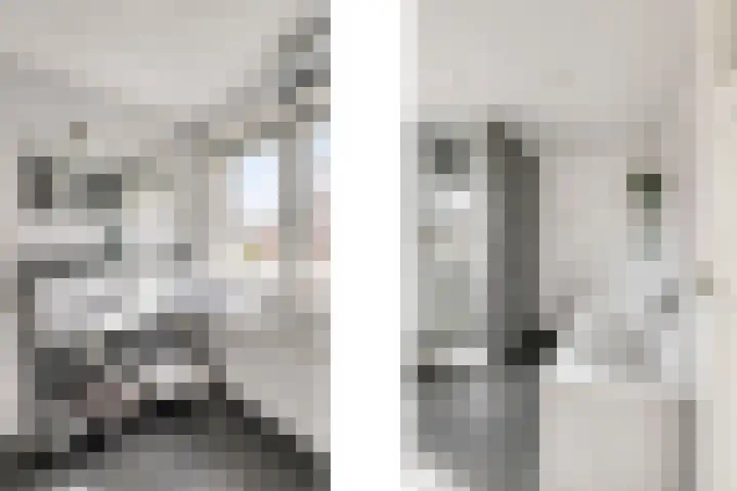 van Schaikstraat 4 Duiven thumbnail 46