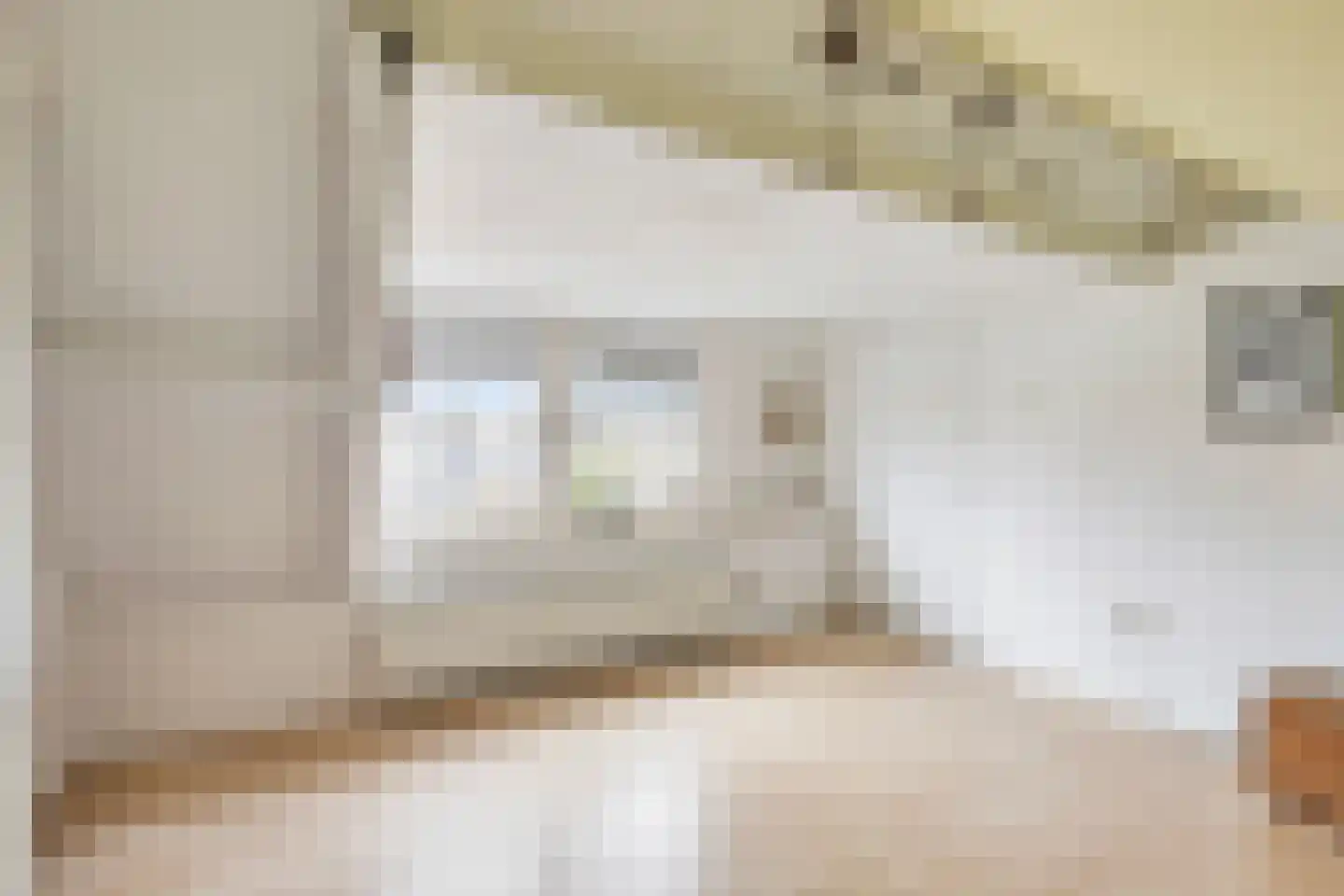 van Schaikstraat 4 Duiven thumbnail 48