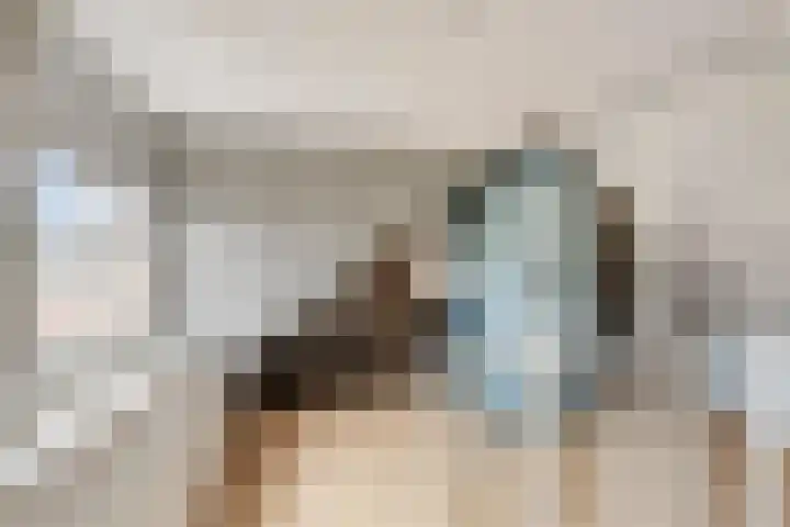 van Schaikstraat 4 Duiven thumbnail 49