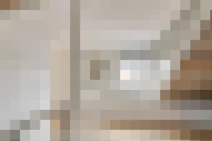 van Schaikstraat 4 Duiven thumbnail 51