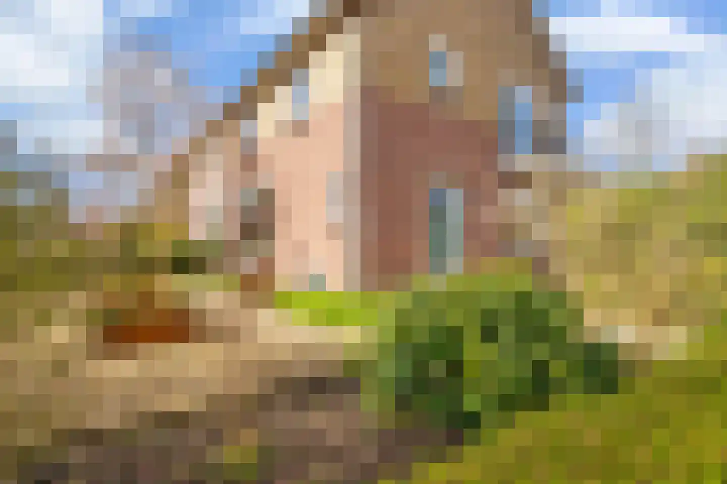 van Schaikstraat 4 Duiven thumbnail 7