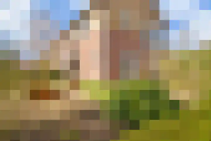 van Schaikstraat 4 Duiven thumbnail 7