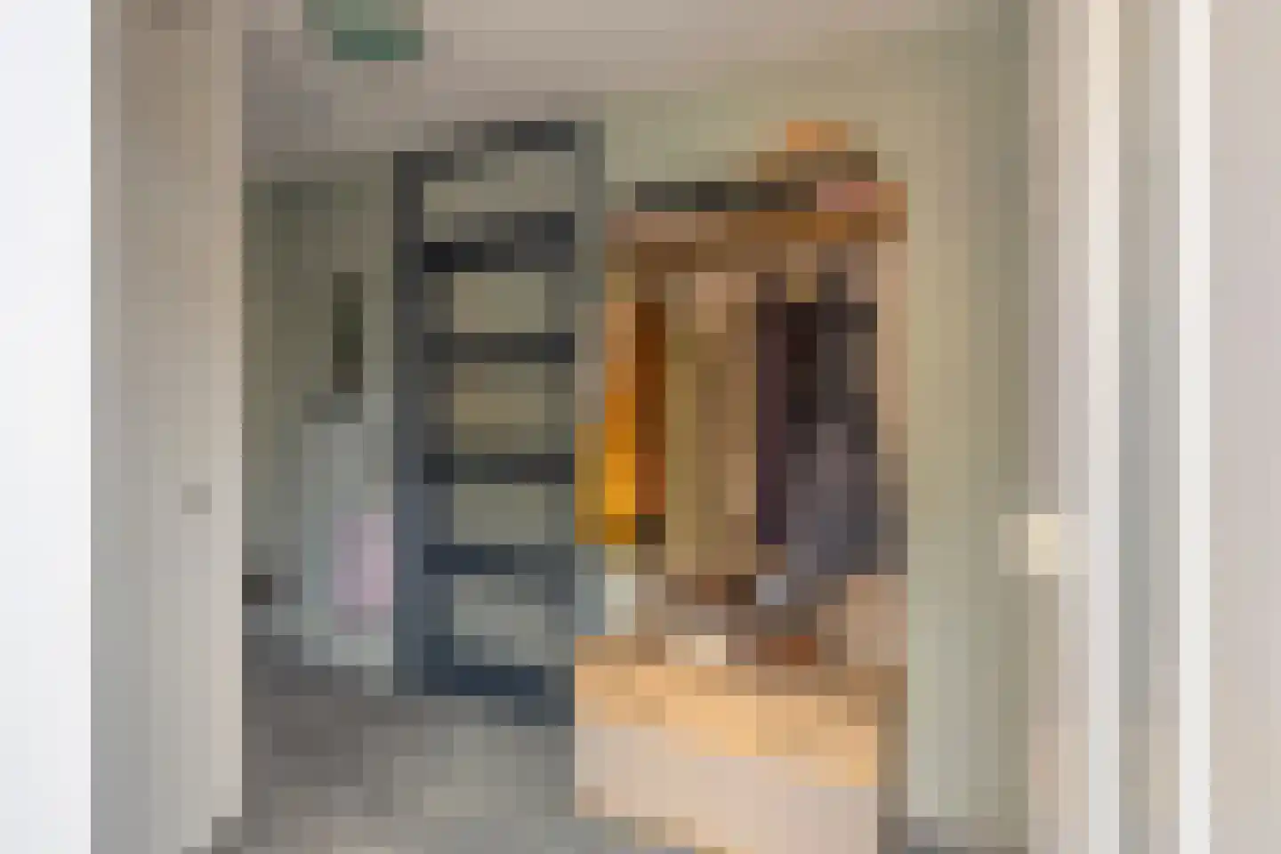 Van Schaikstraat 5 Zwolle thumbnail 16