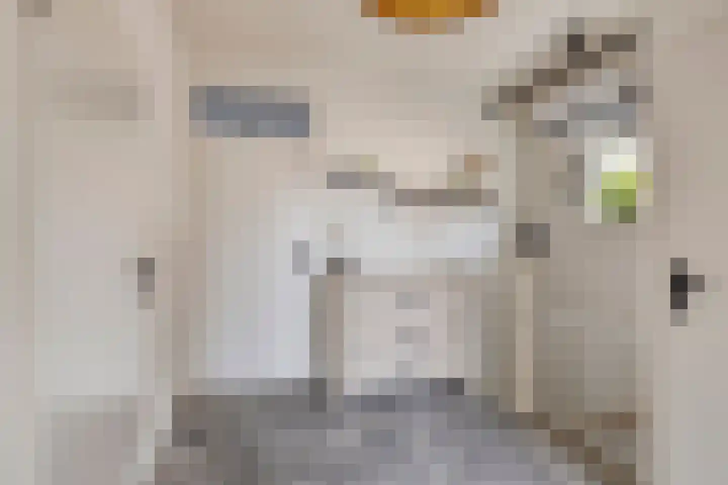 Van Schaikstraat 5 Zwolle thumbnail 21