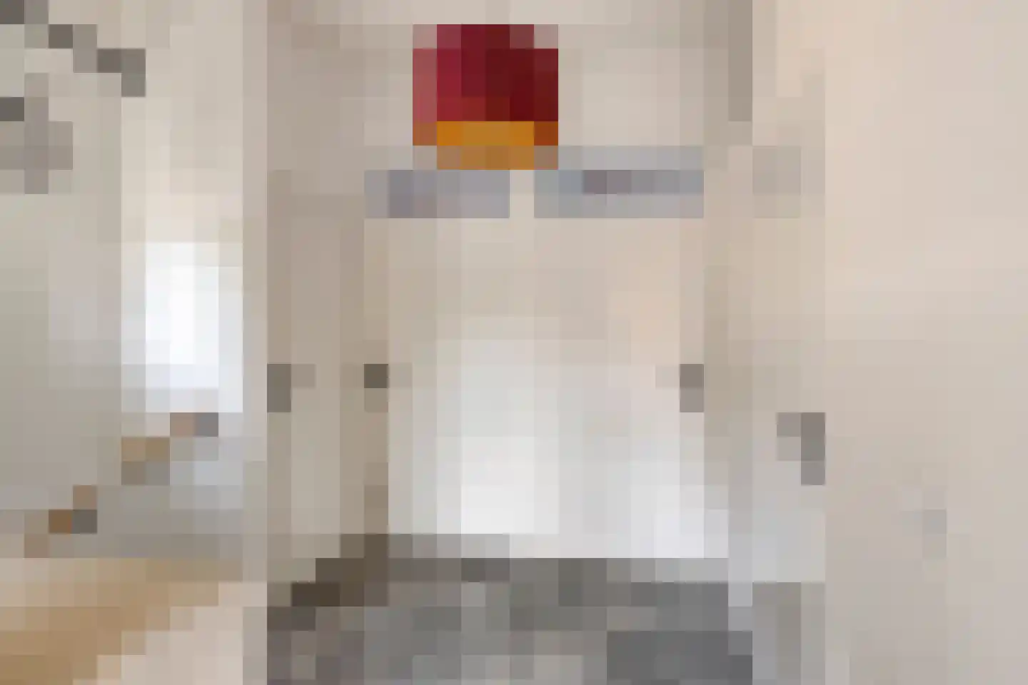 Van Schaikstraat 5 Zwolle thumbnail 22