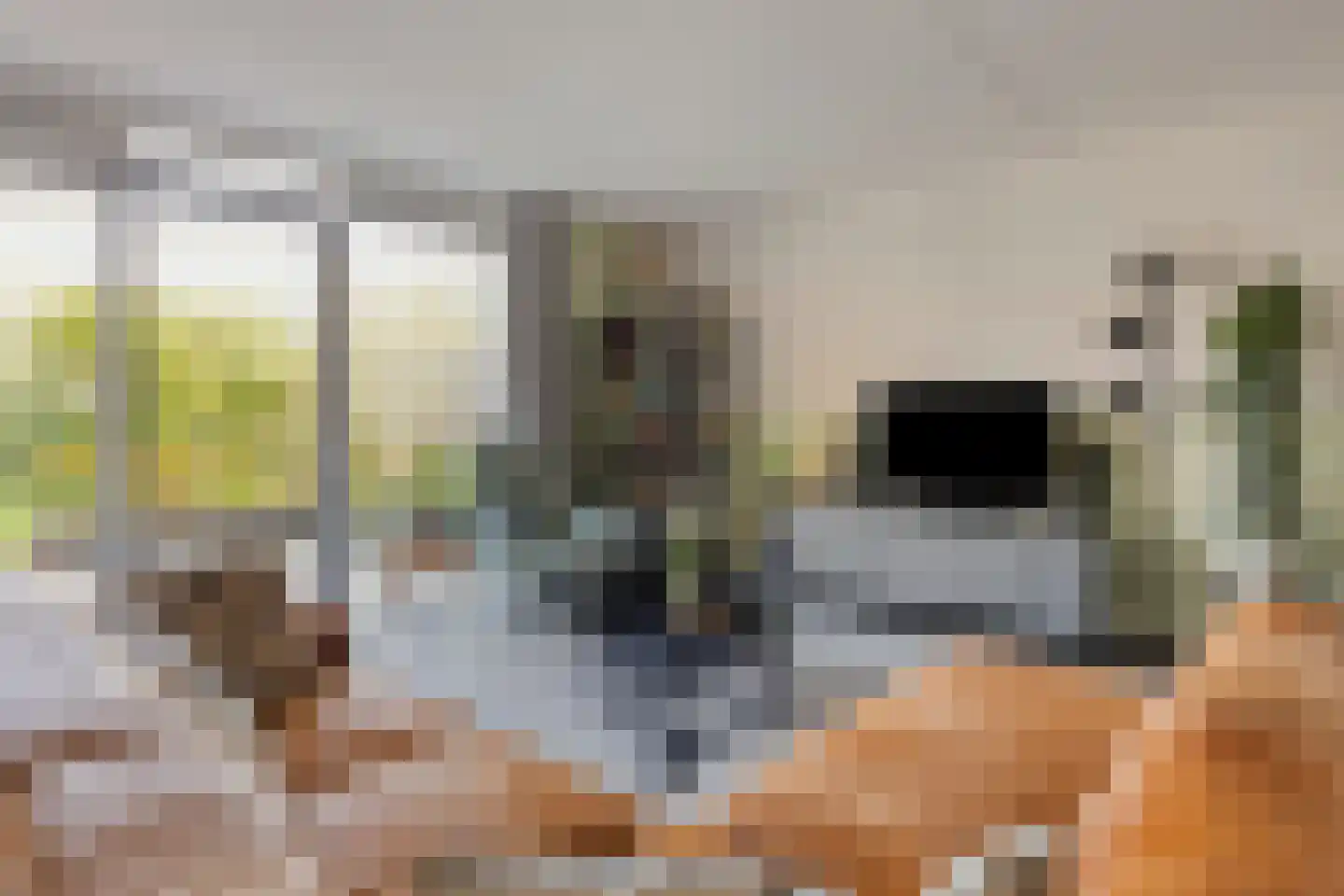 Van Schaikstraat 5 Zwolle thumbnail 7