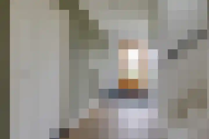van Schaikstraat 6 c Duiven thumbnail 11