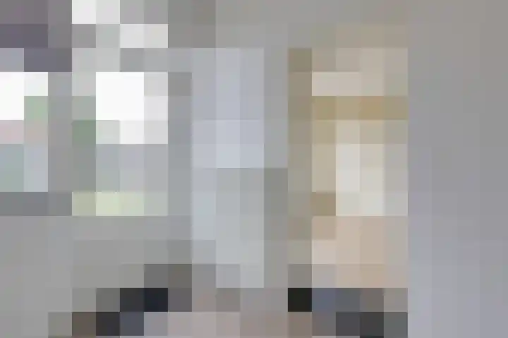 van Schaikstraat 6 c Duiven thumbnail 21