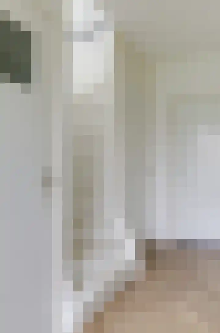 van Schaikstraat 6 c Duiven thumbnail 22
