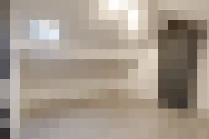 van Schaikstraat 6 c Duiven thumbnail 31