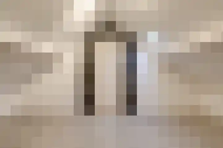 van Schaikstraat 6 c Duiven thumbnail 32