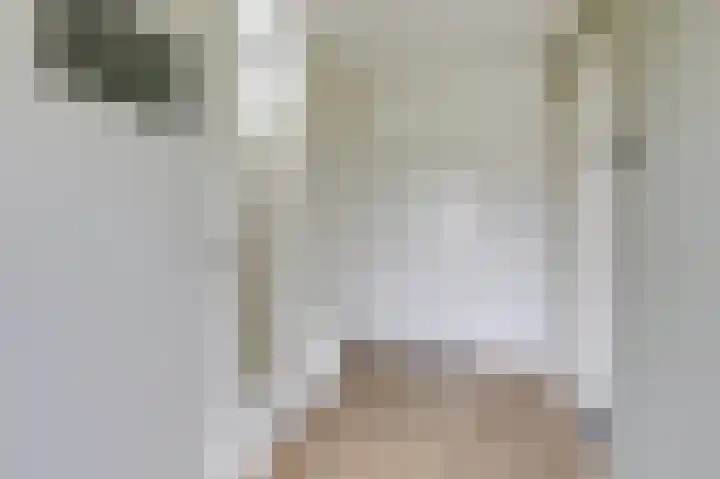 van Schaikstraat 6 c Duiven thumbnail 9