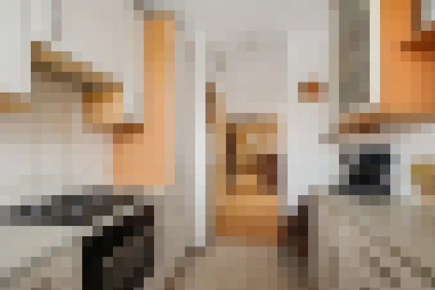Van Schaikweg 32 Emmen thumbnail 16