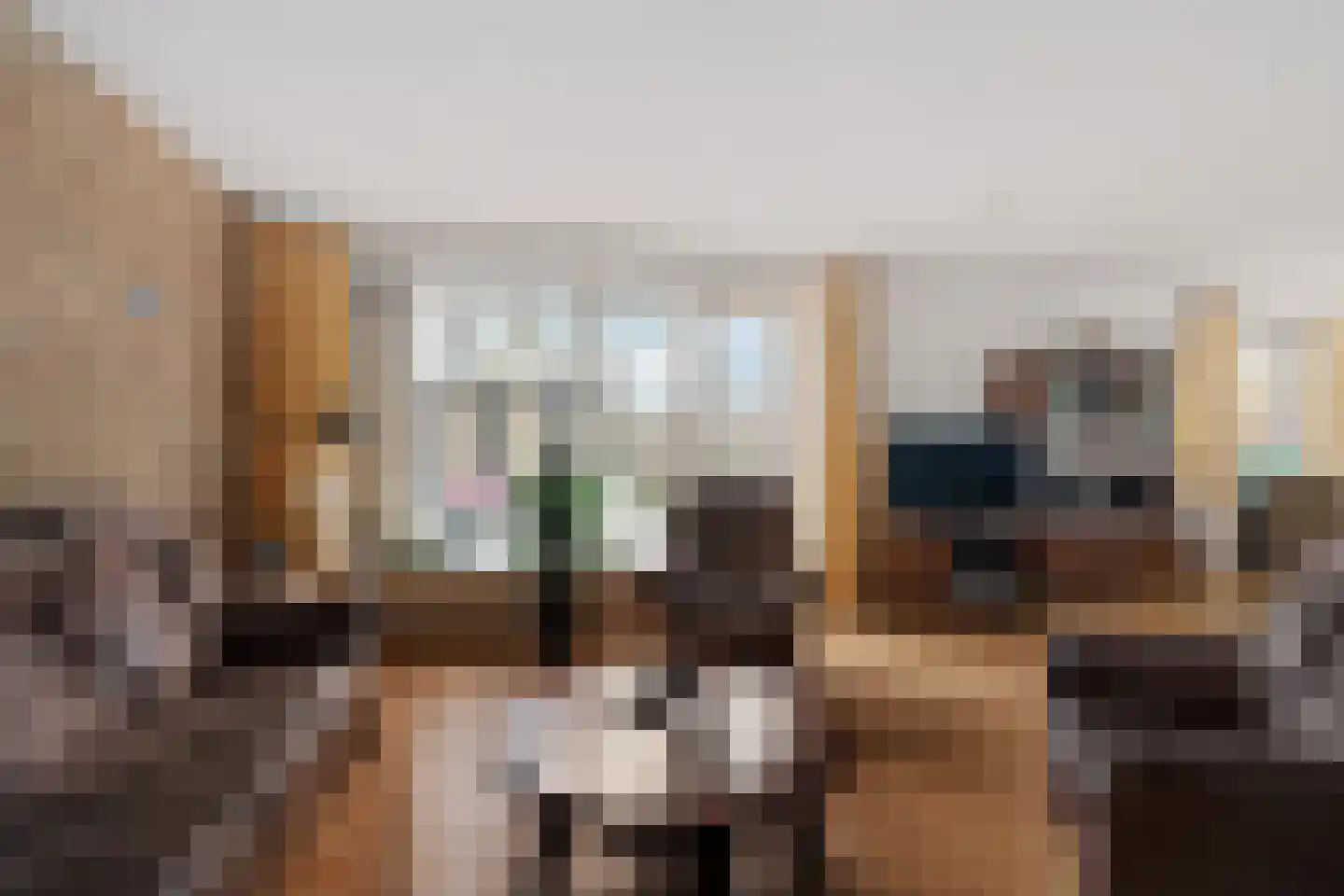 Van Schaikweg 32 Emmen thumbnail 8