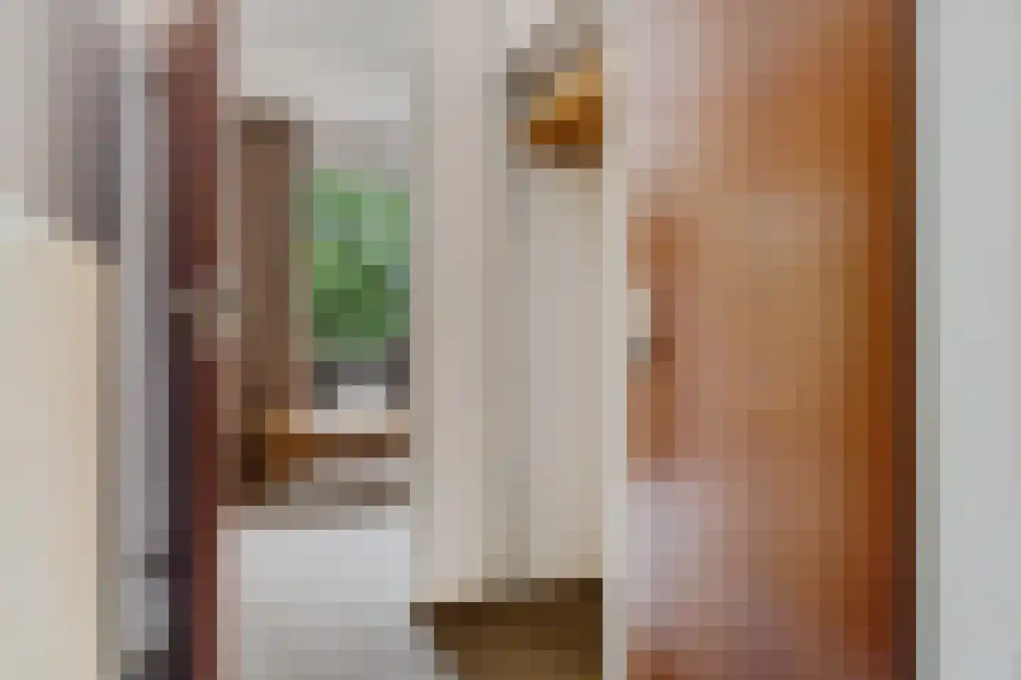 Van Schaikweg 58 Emmen thumbnail 39
